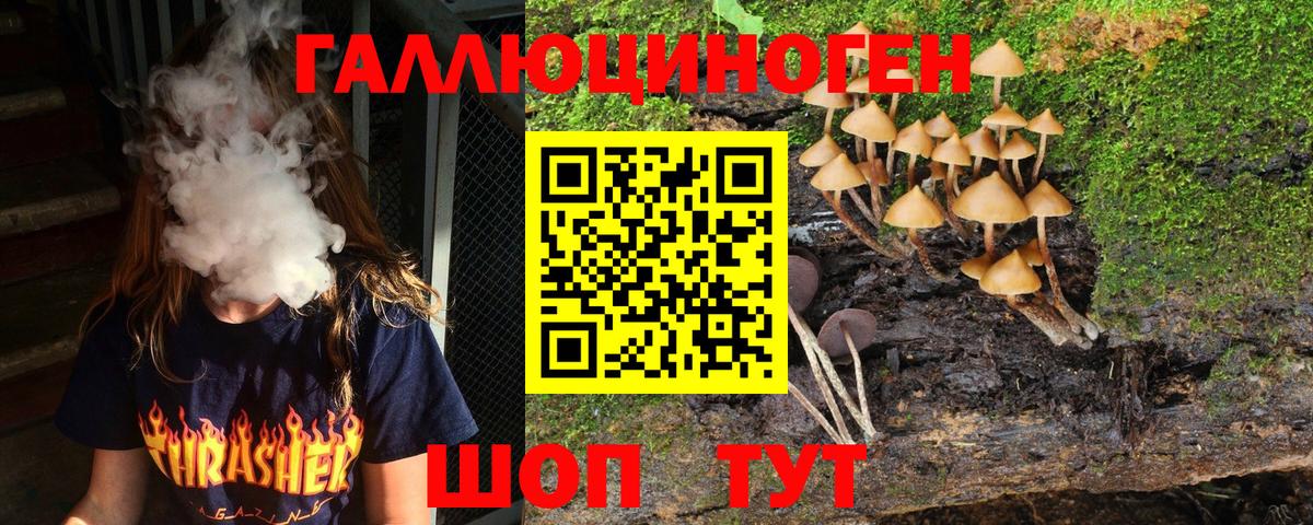 Калининград  Галлюциногенные грибы MAGIC MUSHROOMS  Вход с VPN 