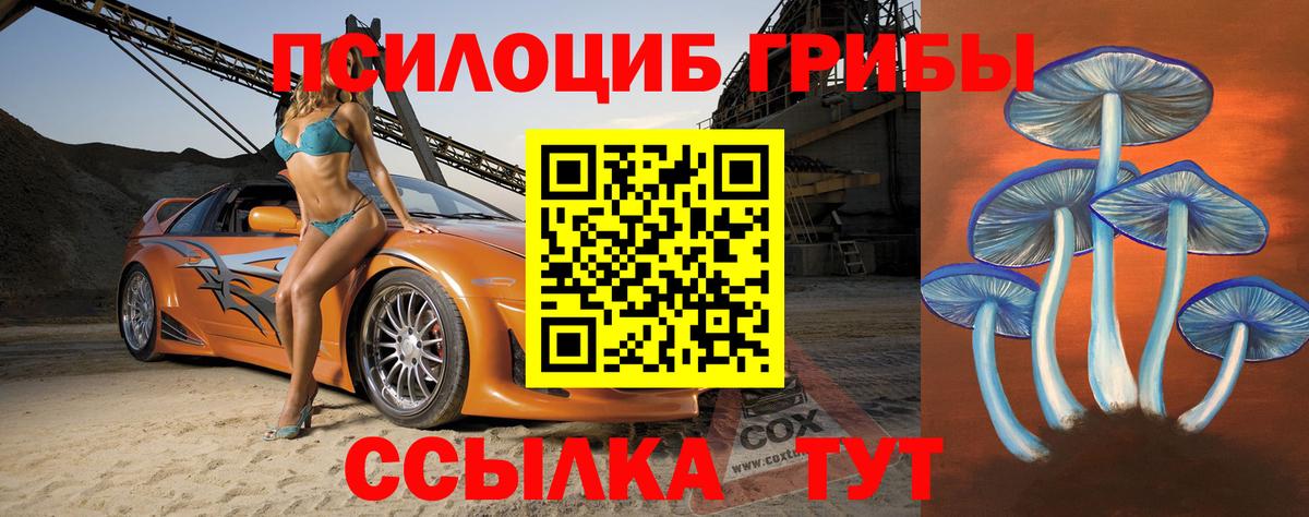 Галлюциногенные грибы мицелий Калининград